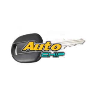 Autochip logo
