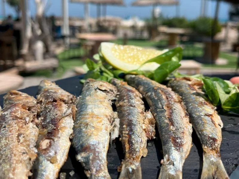 Sardinas a la plancha